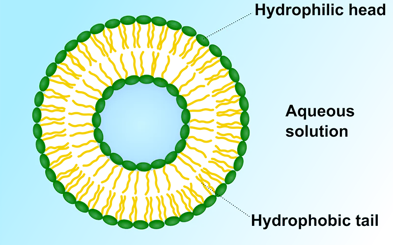 water_curcumin_05