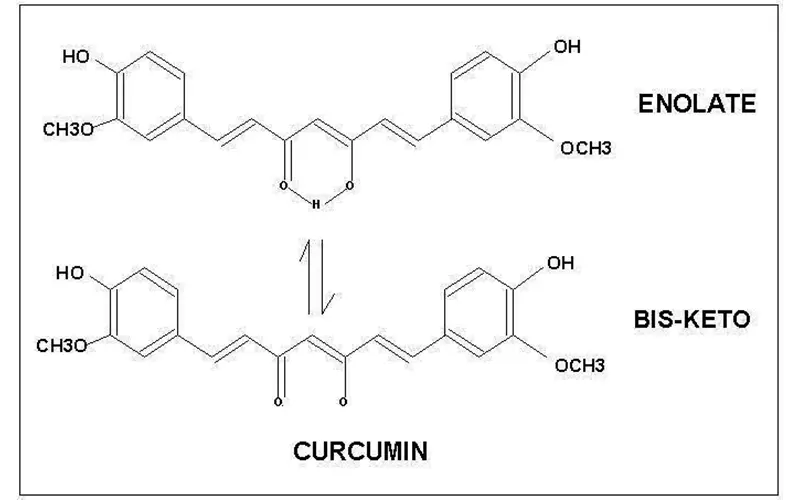 curcuin_effect_02